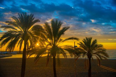 Barcelona, İspanya 'da turistlerin uğrak yerlerindeki palmiye ağaçları. Barcelona, İspanya 'nın doğu kıyısında yer alan bir Artistik şehir olarak bilinir.