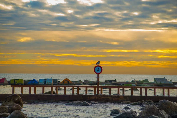 Spiaggia Barceloneta Barcellona Spagna Barcellona Conosciuta Come Una Città Artistica — Foto Stock