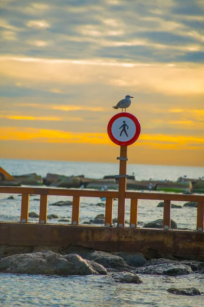 Praia Barceloneta Barcelona Espanha Barcelona Conhecida Como Uma Cidade Artística — Fotografia de Stock