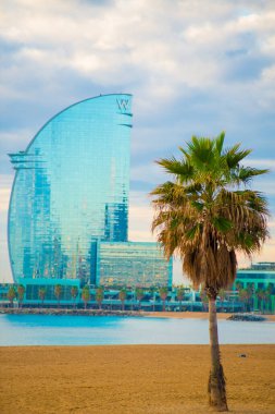 Barcelona, İspanya 'daki Barceloneta plajı. Barcelona, İspanya 'nın doğu kıyısında yer alan bir Artistik şehir olarak bilinir.