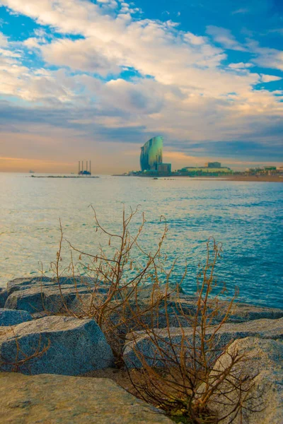 Spiaggia Barceloneta Barcellona Spagna Barcellona Conosciuta Come Una Città Artistica — Foto Stock