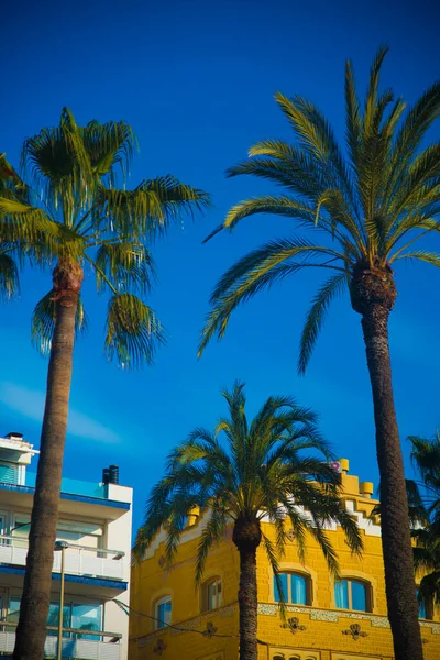 Spanish Beach Resort Barcelona España Zona Sitges Conocida Como Ciudad —  Fotos de Stock