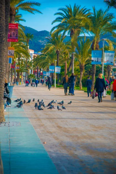 Spanish Beach Resort Barcelonie Hiszpania Obszar Sitges Jest Znany Jako — Zdjęcie stockowe