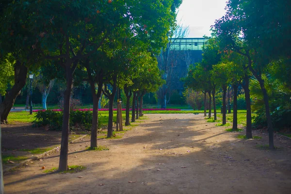 Destino Turístico Barcelona Espanha Barcelona Conhecida Como Uma Cidade Artística — Fotografia de Stock