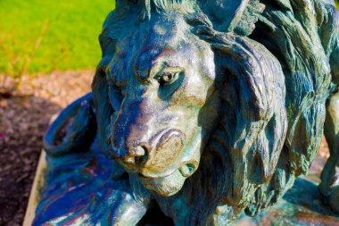 Barcelona, İspanya 'da turistlerin gittiği yerde aslan var. Barcelona, İspanya 'nın doğu kıyısında yer alan bir Artistik şehir olarak bilinir.