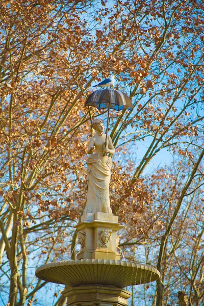 Kuş Barselona Spanya Barcelona Spanya Nın Doğu Kıyısında Yer Alan — Stok fotoğraf