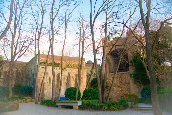 Girona Spanje Februari 2019 Kathedraal Van Girona Een Romeinse Katholieke — Stockfoto