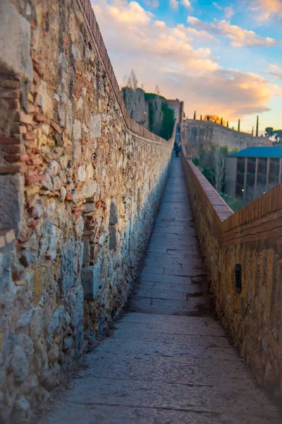 Girona España Febrero 2019 Catedral Girona Una Iglesia Católica Romana — Foto de Stock