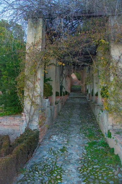 Alhambra Est Inscrite Patrimoine Mondial Unesco Grenade Espagne Espagne Est — Photo