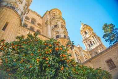 Malaga, İspanya 'da Granada eyaletinde yer alan bir şehirdir. La Malaga de Picaso olarak bilinir..