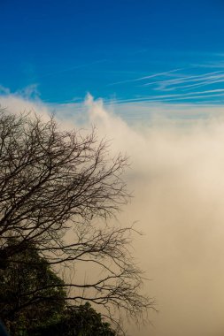 BARCELONA, İspanya - 26 Aralık 2018: Barcelona, İspanya 'daki Montserrat Dağları. Montserrat, Antoni Gaudi 'yi sanat çalışmaları için etkileyen İspanyol biçimli bir dağdır.. 