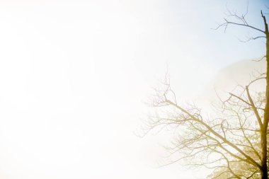 BARCELONA, İspanya - 26 Aralık 2018: Barcelona, İspanya 'daki Montserrat Doğası. Montserrat, Antoni Gaudi 'yi sanat çalışmaları için etkileyen İspanyol biçimli bir dağdır.. 