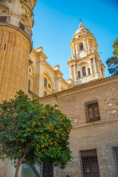 Malaga Una Città Granada Spagna Conosciuta Come Malaga Picaso — Foto Stock