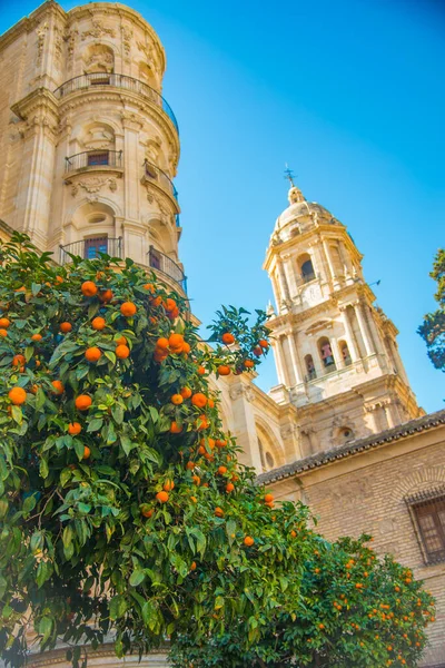 Málaga Uma Cidade Granada Espanha Conhecido Como Málaga Picaso — Fotografia de Stock