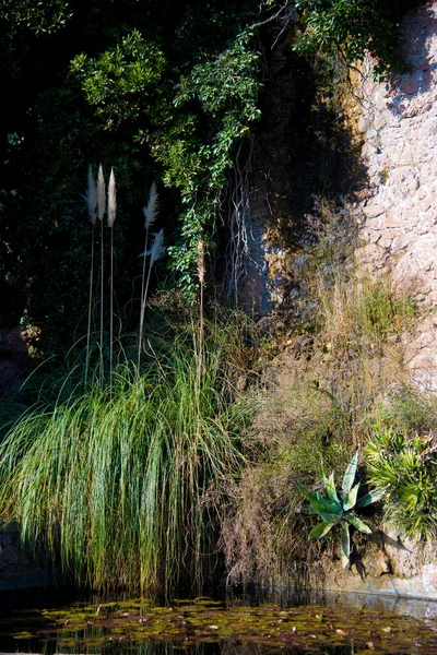 Barcelona España Diciembre 2018 Naturaleza Montserrat Barcelona Montserrat Una Montaña —  Fotos de Stock