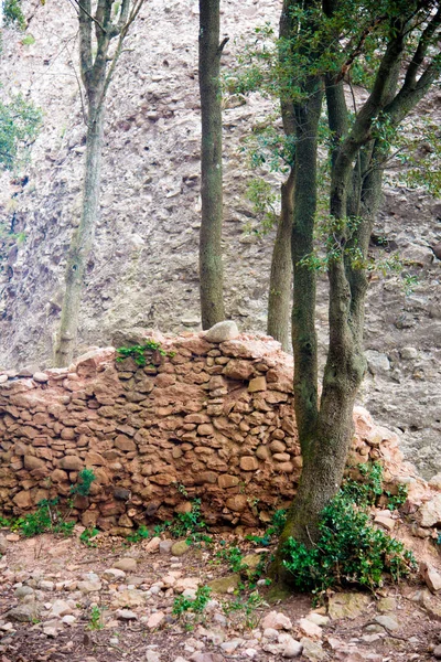 Barcelona Hiszpania Grudnia 2018 Natura Górach Montserrat Barcelonie Hiszpania Montserrat — Zdjęcie stockowe