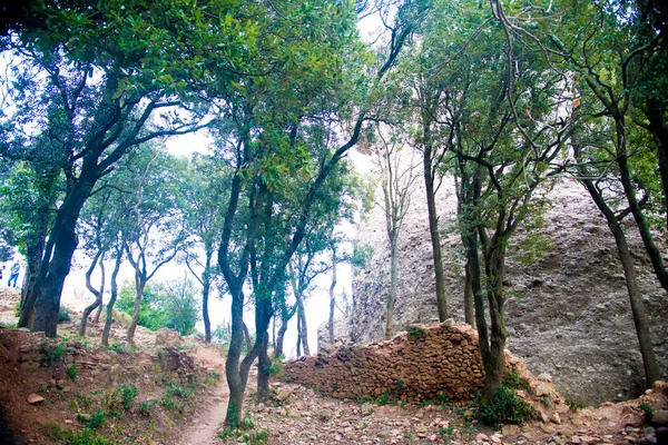 Barcelone Espagne Décembre 2018 Nature Dans Les Montagnes Montserrat Barcelone — Photo