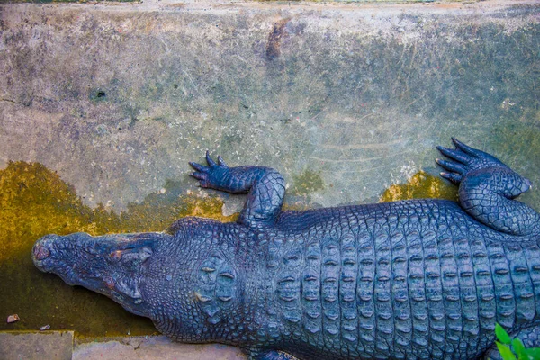 Krokodile Auf Den Philippinen Die Philippinen Sind Ein Land Südostasien — Stockfoto