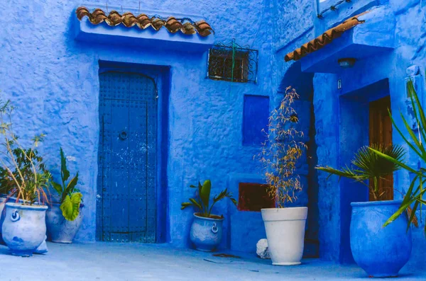 Magical All Blue Wall Ancient Door Some Plants Blue Pearl — Stock Photo, Image