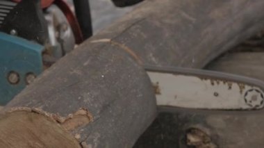 günlükleri tarafından testere testere adam. ağır çekim