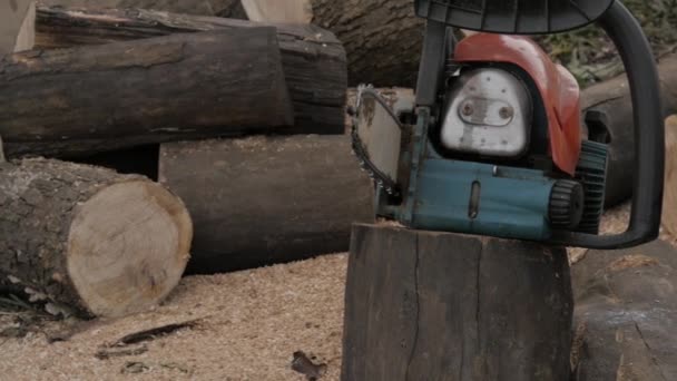 Tronçonneuse entre des billes de bois sciées. au ralenti — Video