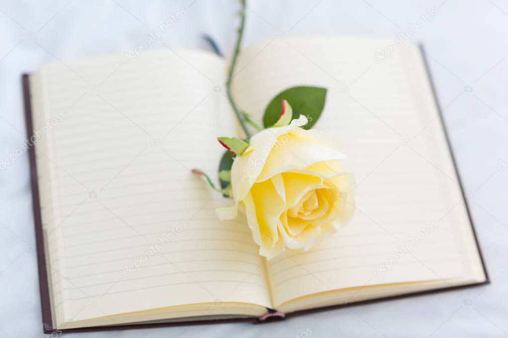 White Rose on open blank Notebook.