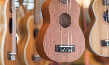 Ahşap Ukuleleri bir müzik dükkanı sergilenen yelpazesi