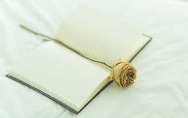 An açık ve boş defter ortasında tek beyaz/sarı gül