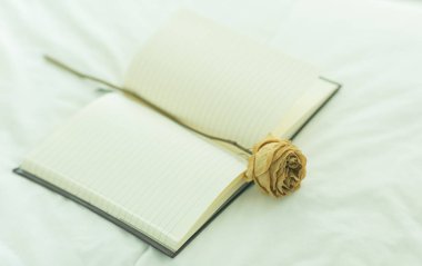 Single white/yellow rose in the middle of an open and blank notebook clipart