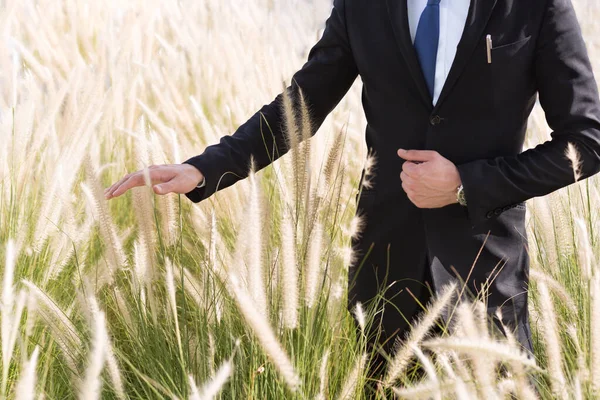 Korporativer Mann Anzug Der Auf Dem Feld Spaziert Während Das Stockbild