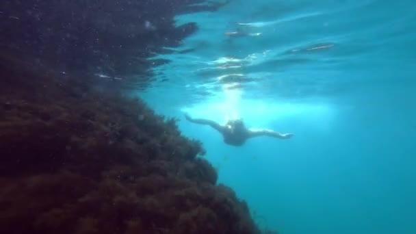 Ragazza Sta Nuotando Nel Mare Vicino Alla Scogliera — Video Stock
