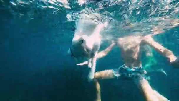 Hond Jongen Zwemmen Zee — Stockvideo