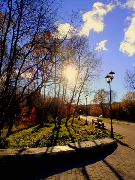 Passeggiata Tranquillo Accogliente Parco Autunnale — Foto Stock