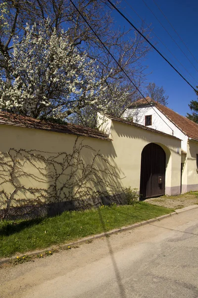 Tavaszi táj hagyományos régi parasztház — Stock Fotó