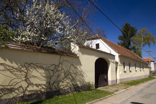 Весняний пейзаж з традиційним старим сільським будинком — стокове фото