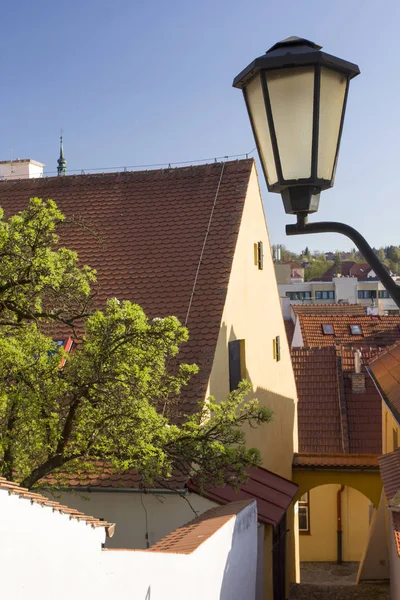 Trebic eski Yahudi mahallesi ve bazilika
