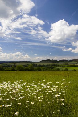 Engebeli arazide yeşil çimenlik