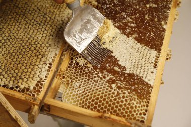 Detay görünümünde doğal bahar bal ve petek