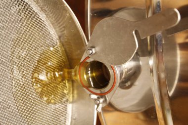 Detay görünümünde doğal bahar bal ve petek