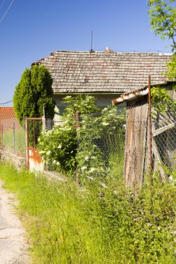 Mavi gökyüzü ile beatiful bahar kırsal manzara 