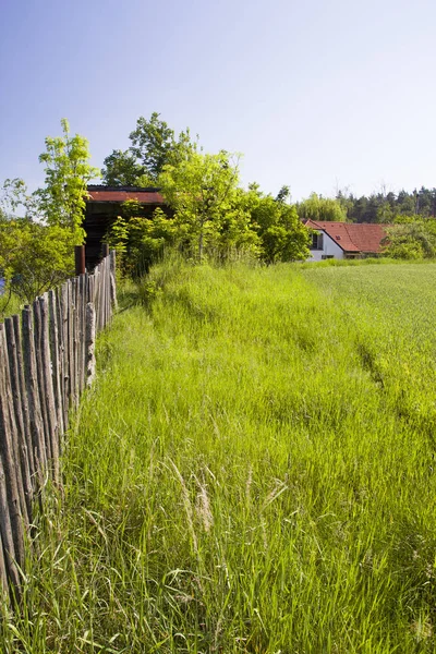 Прекрасный весенний сельский пейзаж с голубым небом — стоковое фото