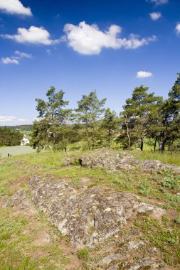 Mavi gökyüzü ile beatiful bahar kırsal manzara 