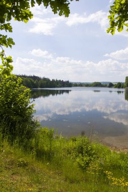 Yeşil çimen ve mavi gökyüzü ile kırsal sahne