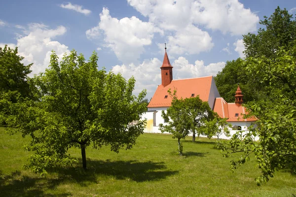 Landsbymiljø med grønt gress og blå himmel – stockfoto