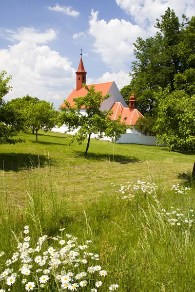 Landsbymiljø med grønt gress og blå himmel – stockfoto