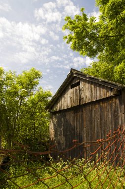 Yeşil çim ente ve mavi gökyüzü ile Bahar kırsal manzara