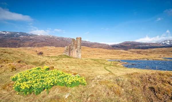 Quelle Bei Den Ruinen Der Burg Ardvreck Auf Loch Assynt — Stockfoto