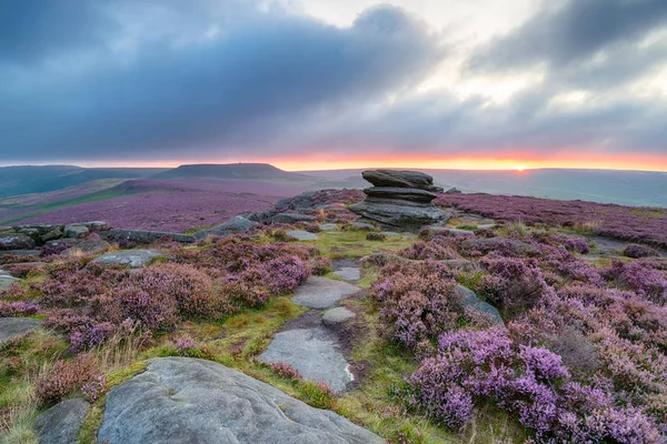 Launischer Sommersonnenaufgang Über Der Heide Ouller Tor Peak District Von — Stockfoto