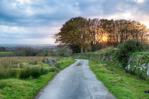 Moorland Lane na Cornualha — Fotografia de Stock