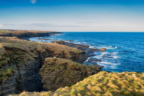 Cliffs Nybster Caithness East Coast Scotland — Stock Photo, Image